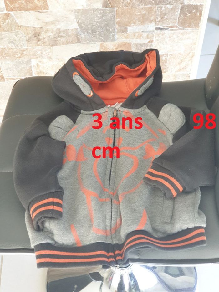 1 veste disney 3 ans 98 cm (plutôt 3- 4 ans)