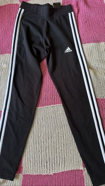 Legging