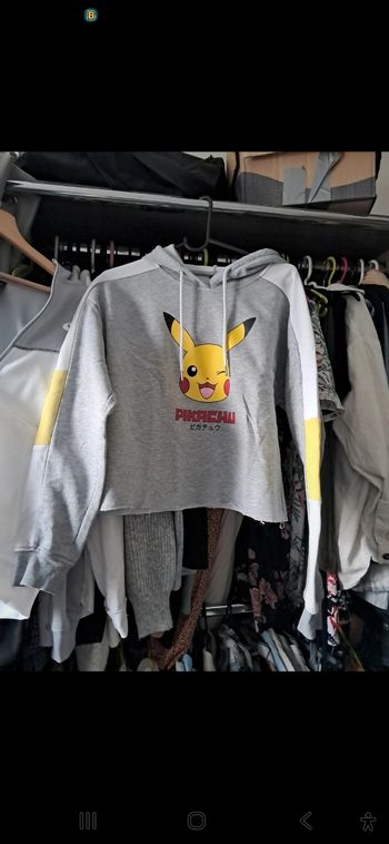 Pull a capuche