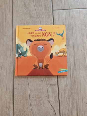 Livre enfant "le lion qui disait toujours NON!"