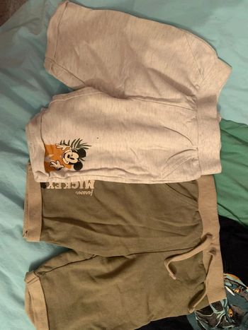 Short mickey