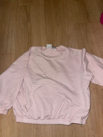 Sweat rose zara
