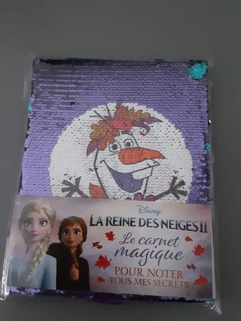 Carnet magique Reine des Neiges