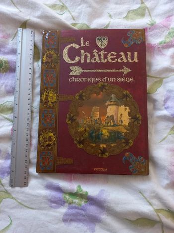 Livre le château chronique d un siècle