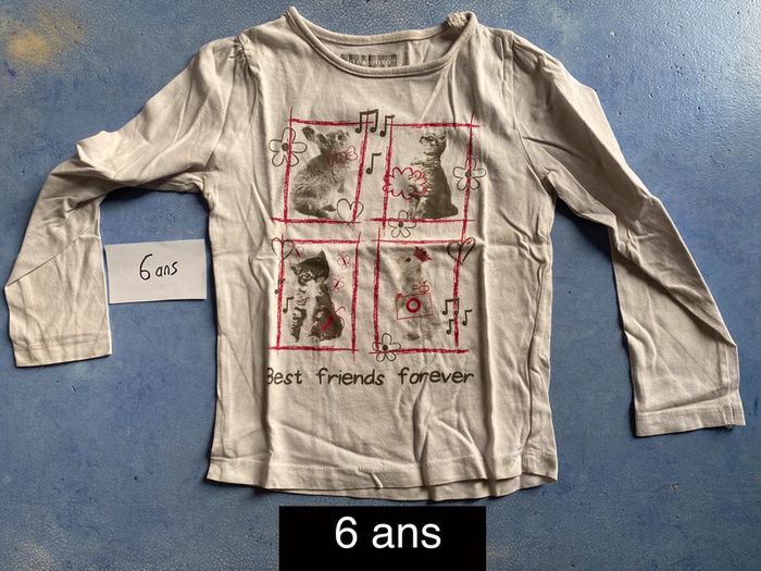 Tee shirt manches longues 6ans lapin et chat
