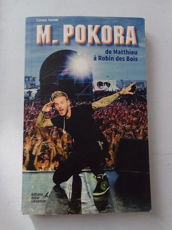 M. Pokora de Mathieu à Robin des Bois