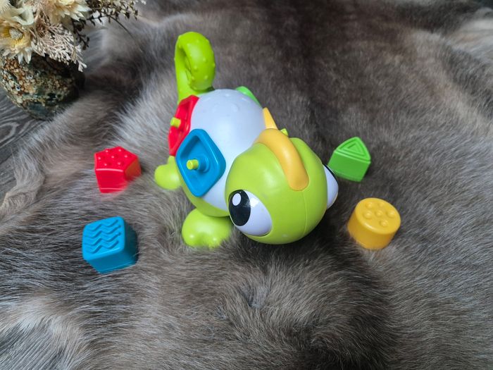 Léon le caméléon - photo numéro 3