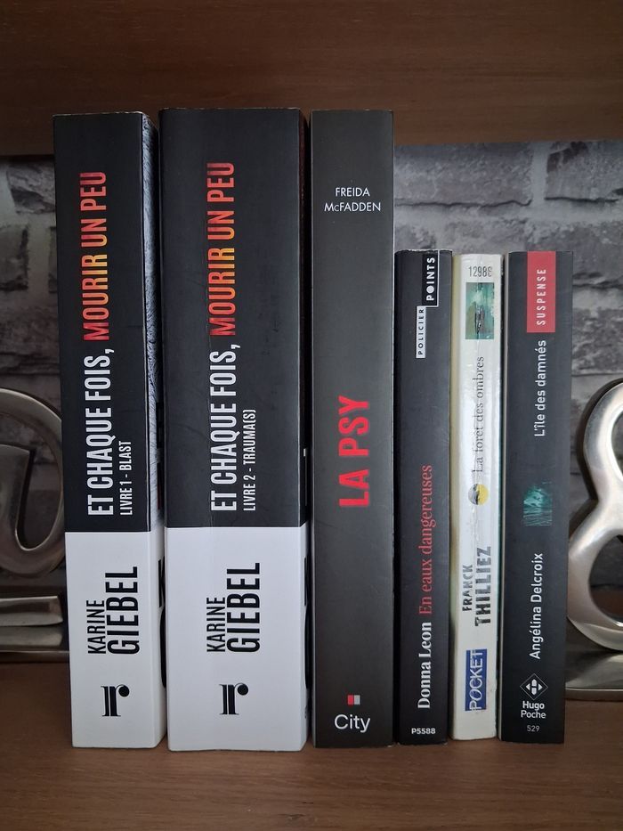 Lot 6 Thrillers - Karine Giebel - Angélina Delcroix - Freida McFadden - photo numéro 3