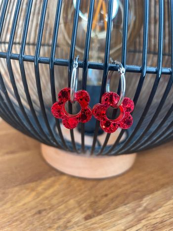 Paire de pampilles interchangeables