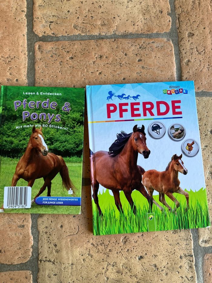 Pferde Bücher