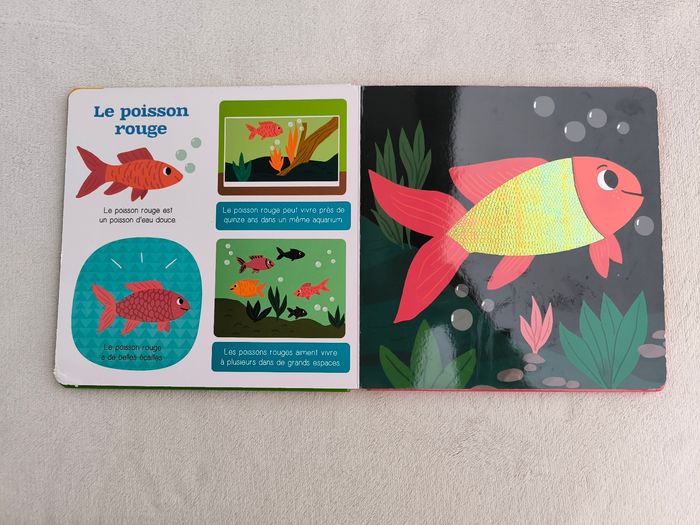 Livre Les animaux de compagnie Auzou - photo numéro 5