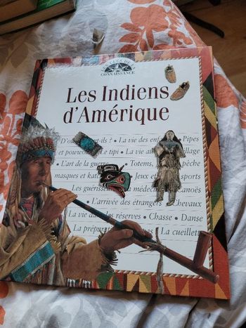 Les indiens d Amerique