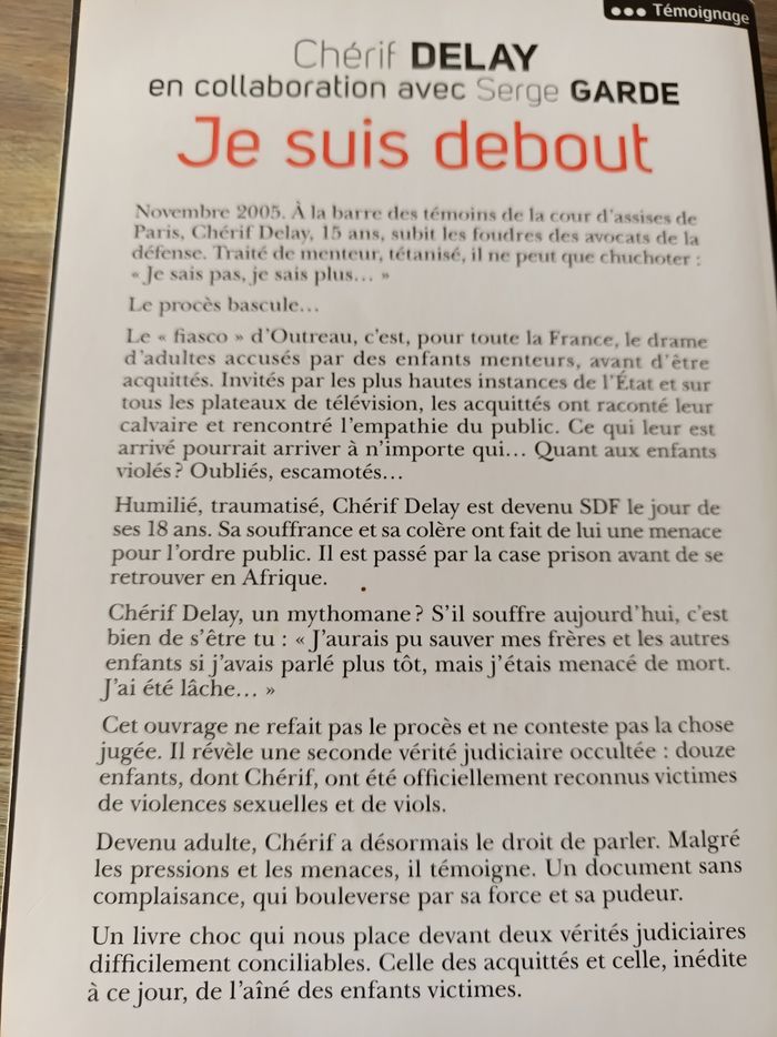 Je suis debout par Chérif Delay - photo numéro 2