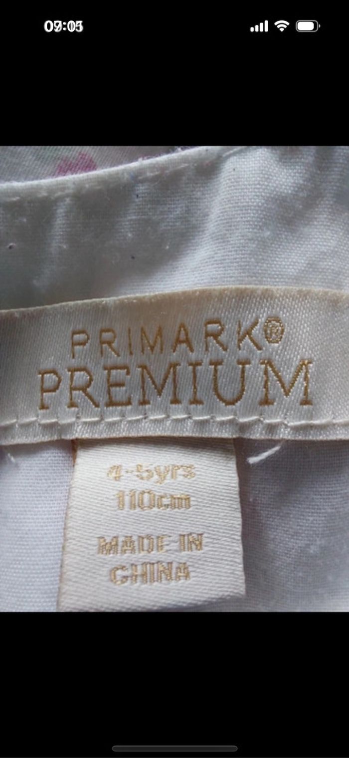 Robe Primark Premiun taille 4 / 5 ans - photo numéro 3
