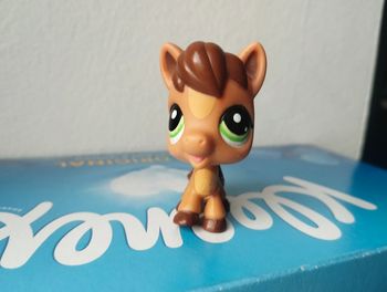 Petshop poney