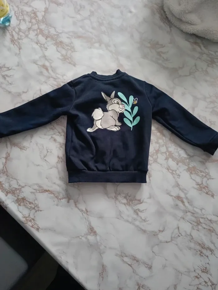 Veste Disney panpan