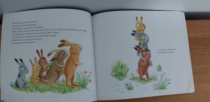 Trois petits lapins - Père Castor - photo numéro 3