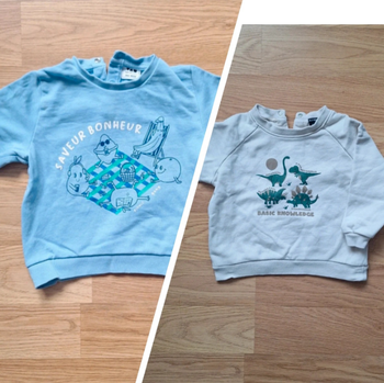 Lot de 2 pulls type sweat