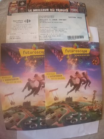 Vends 3 billets d'entrée Parc futuroscope