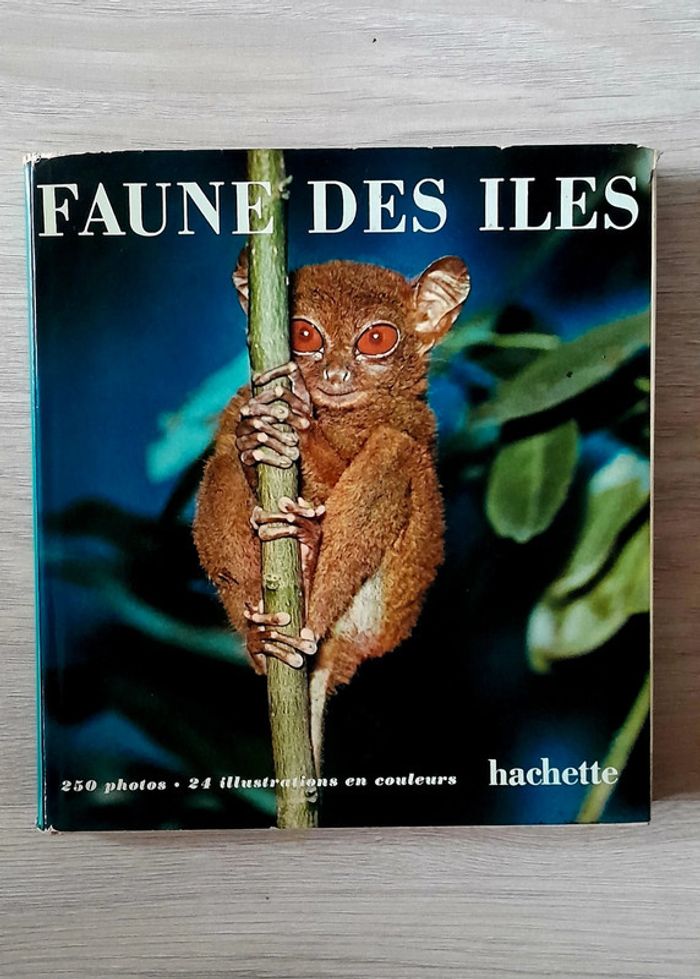 Faune des îles
