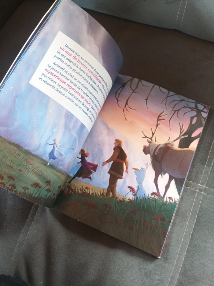 Livre enfant La Reineterie des neiges 2 II Box office l'album du livre - photo numéro 3