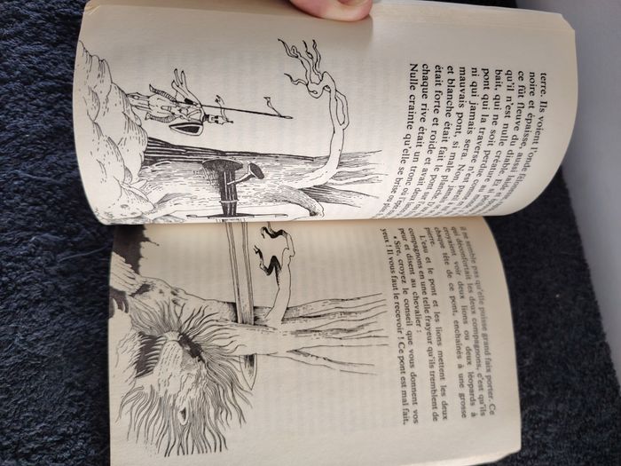 Lancelot et le chevalier à la charrette - photo numéro 7