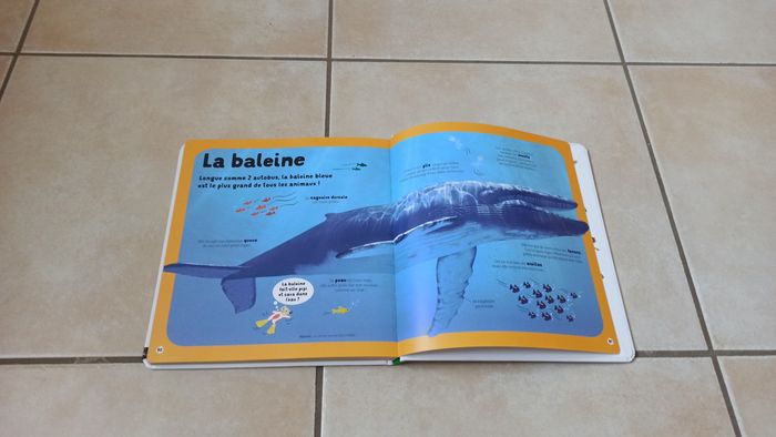 Livre Dokéo mon livre des animaux - photo numéro 4