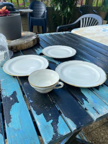 Assiettes porcelaines