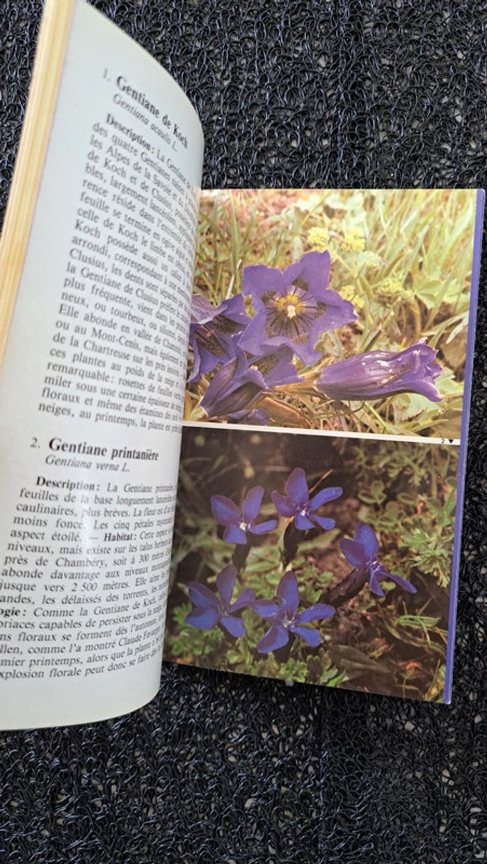 Livre la flore des montagnes - photo numéro 4