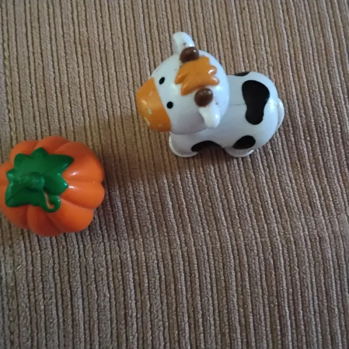 Vache et citrouille - photo numéro 4