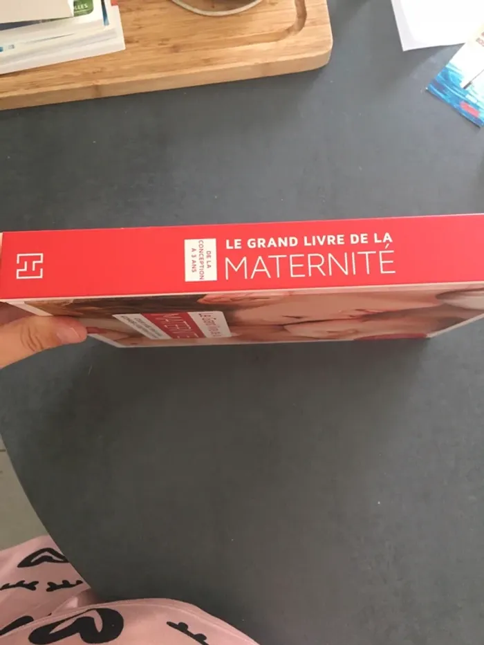 Le grand livre de la maternité - photo numéro 2