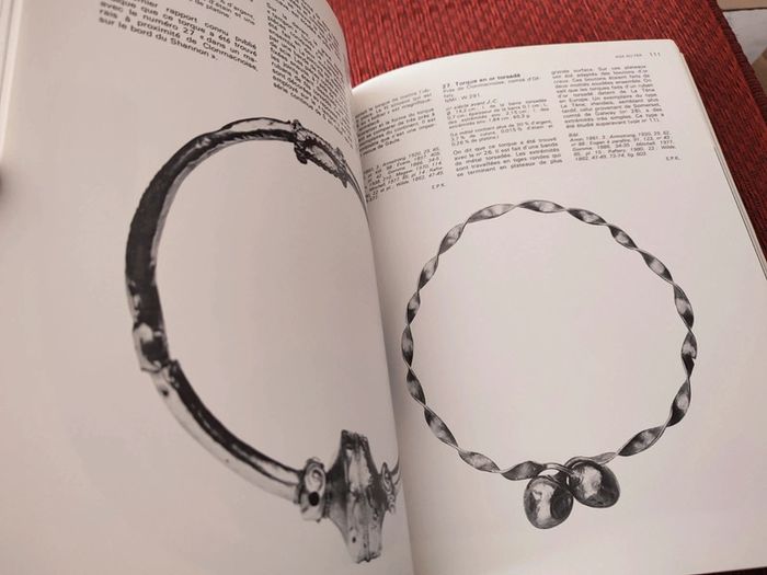 Grand Livre "Trésors d'Irlande" - photo numéro 8