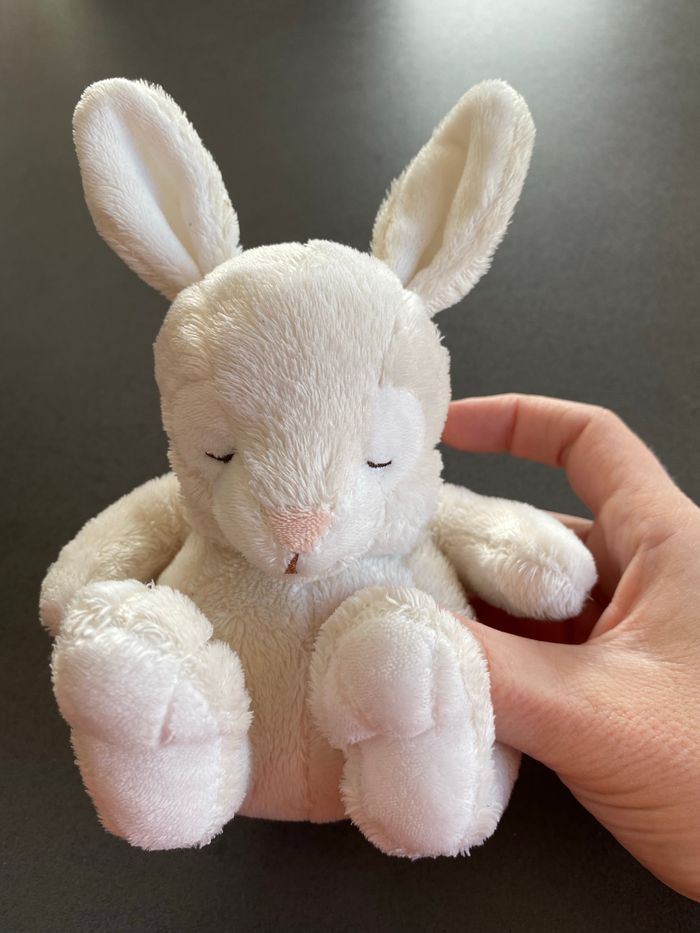 Peluche Panpan