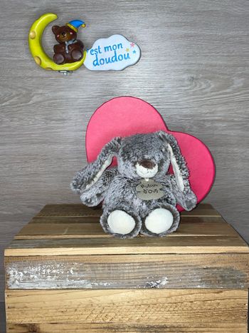 HD176 doudou lapin  🐰 histoire d’ours