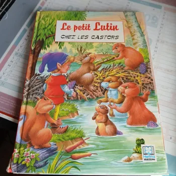 Livre le petit lutin chez les castors