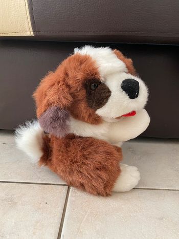 Petite peluche saint Bernard