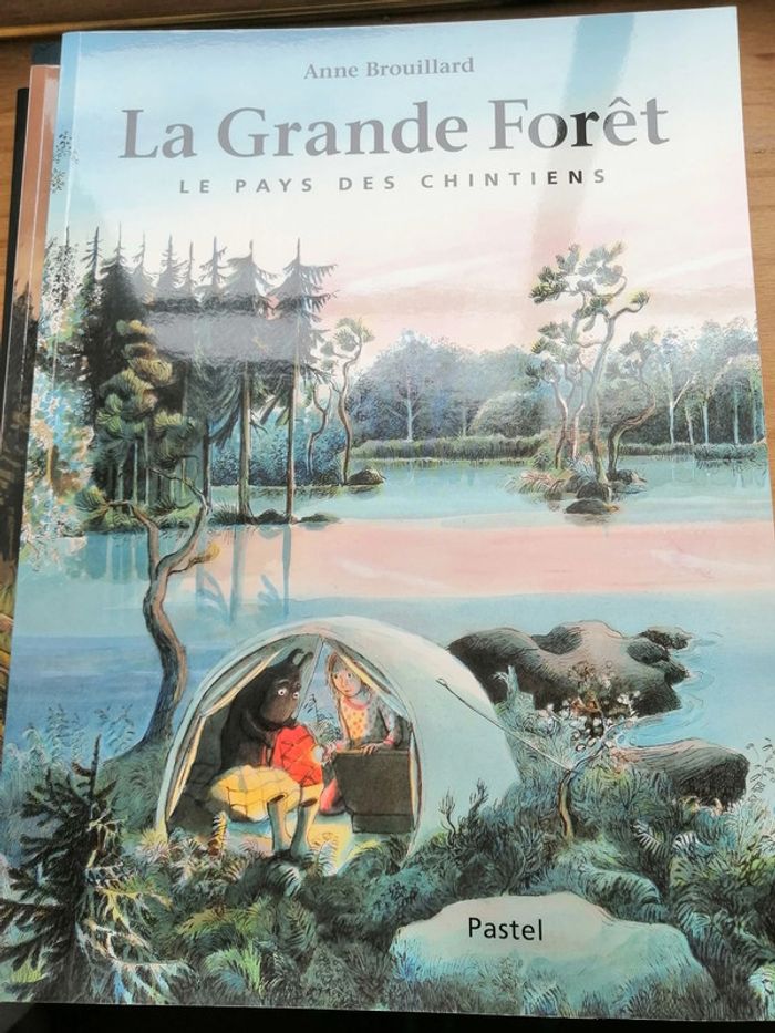 Lot 9 livres "L'école des Loisirs" état satisfaisant (voir description) 📚 - photo numéro 6