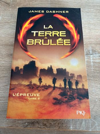 Livre le labyrinthe tome 2 la terre brûlée