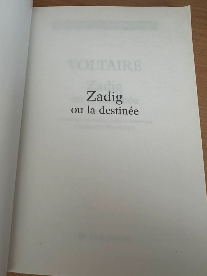 Livre zadig voltaire - photo numéro 3