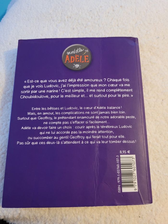 mortelle adèle choubidoulove  (6e) - photo numéro 5