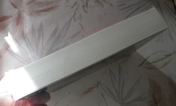 Tunnel de nuit de John Philpin et Patricia Sierra Ed. Albin Michel - photo numéro 4