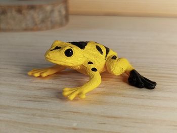 Safari Grenouille venimeuse Figurine Animal équatoriale