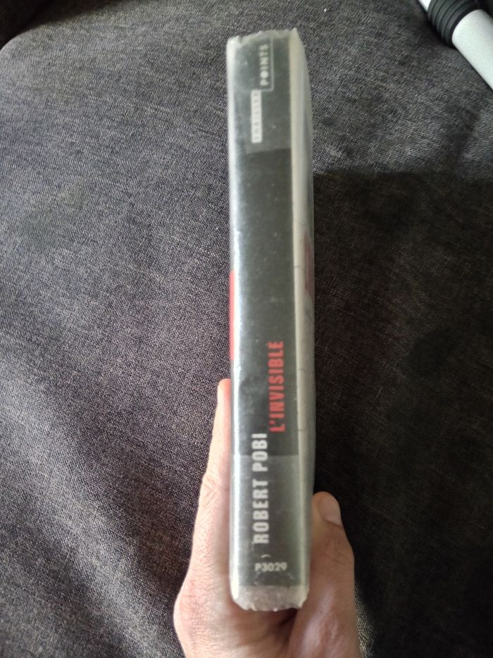 Livre (98) 📚 L'invisible - photo numéro 3