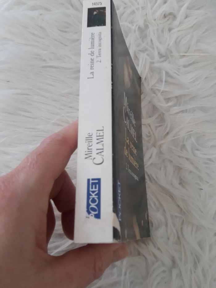 La reine de lumière - photo numéro 2