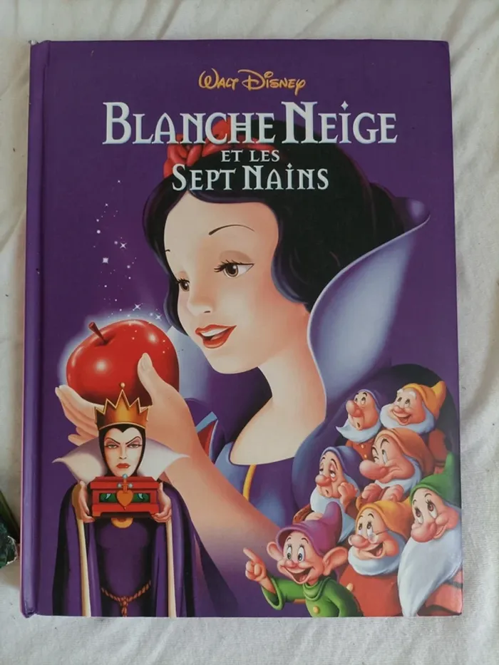 Lot de 3 livres Disney - photo numéro 7