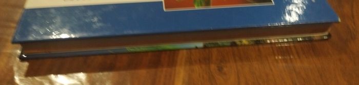 Origami le monde des animaux - photo numéro 4