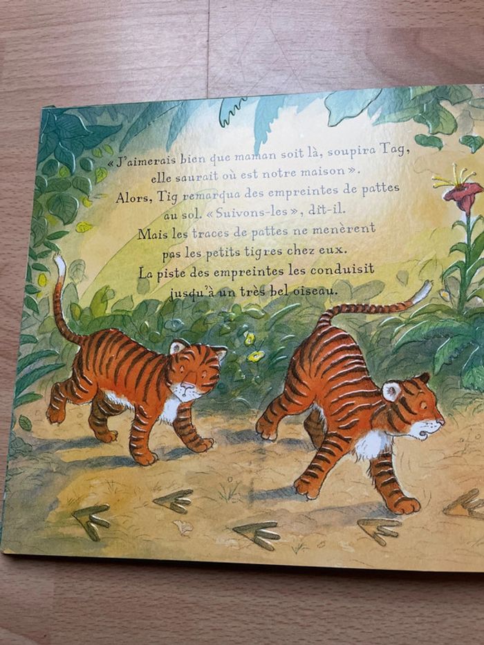 Deux petits tigres - photo numéro 3