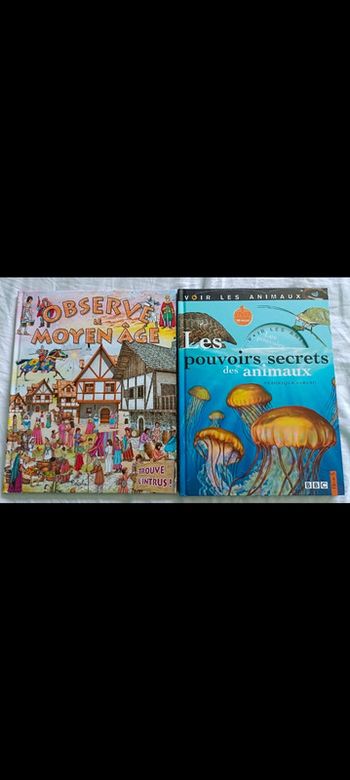 41- Lot de 2 livres pour enfants