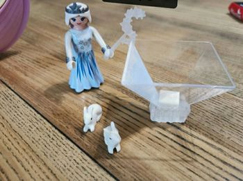Playmobil Princesse poussière d étoiles et ses petits animaux