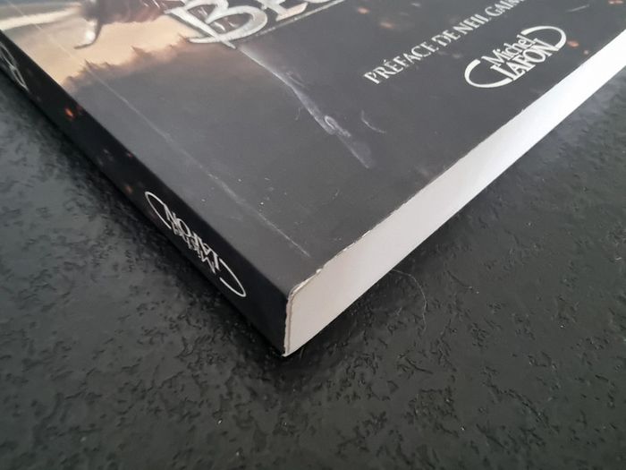 La légende de Beowulf de Caitlín Kiernan - photo numéro 7